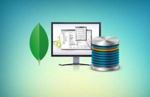 Learn Big Data Course Testing with Spark, Scala and MongoDB