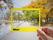 Beginner Nikon Digital SLR (DSLR) Photography