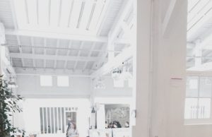 Become a Professional Graphic Designer graphic design