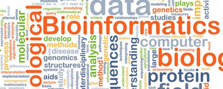 Bioinformatics