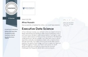 Executive Data Science Capstones