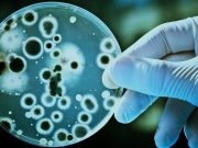 Here Are The Top Courses Available Under Life Science Degree Life Sciences Courses