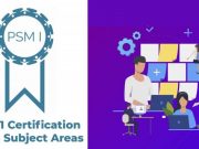 PSM 1 Certification Exam Subject Areas