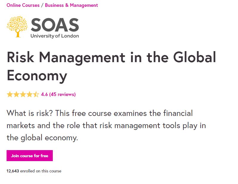 Risk Management in the Global Economy