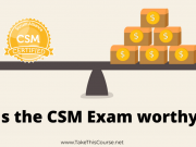 Is CSM Exam worthy
