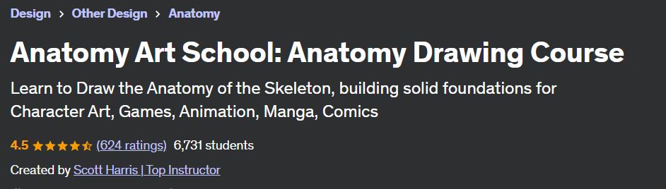 Anatomy Art School: Anatomy Drawing Course