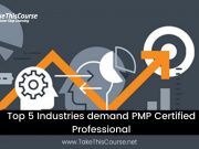 Top-5-Industries-demand-PMP-Certified-Professional