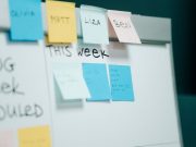 Understanding Working Software over Comprehensive Documentation in Agile