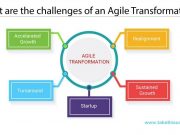 What are the challenges of an Agile Transformation