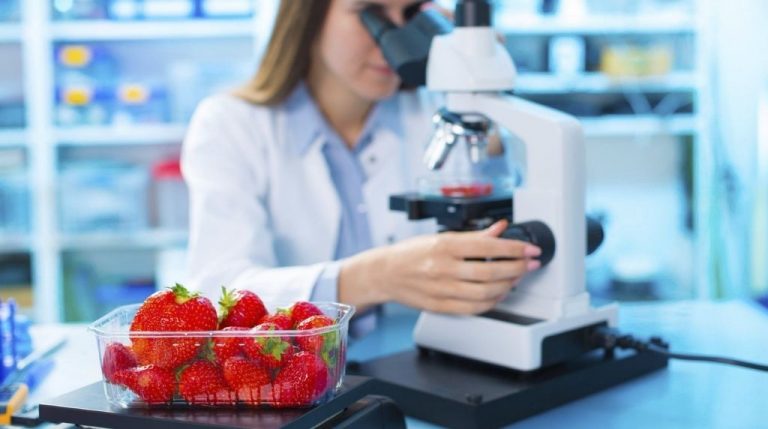 All about HACCP Refresher Training