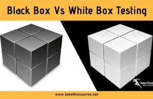 Black Box Testing vs White Box Testing