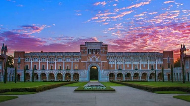 Best Rice Course Catalog 2021