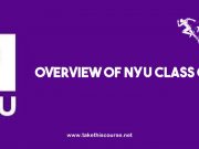 Overview of NYU Class of 2022 NYU Class of 2022