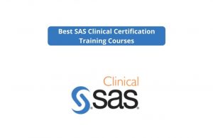Best SAS Clinical Certification Training Courses