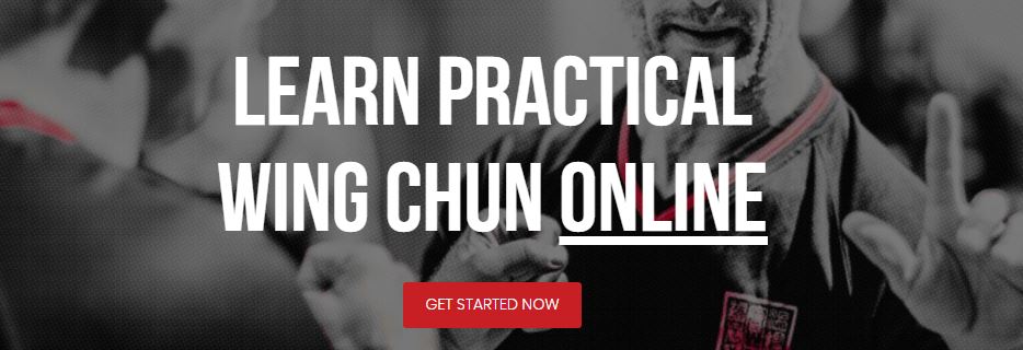 learn practicle wing chun online