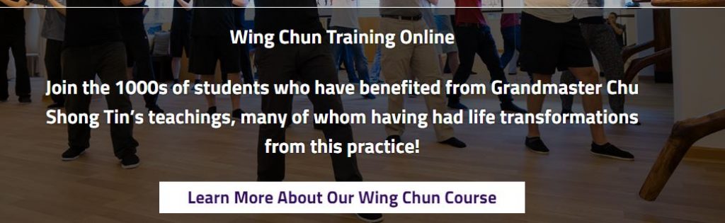 wing chun training online