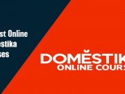 Best Online Domestika Courses