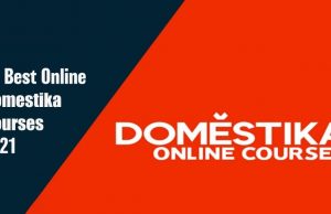 Best Online Domestika Courses