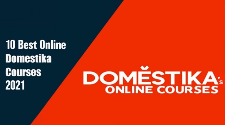 10 Best Online Domestika Courses 2025 [Updated]
