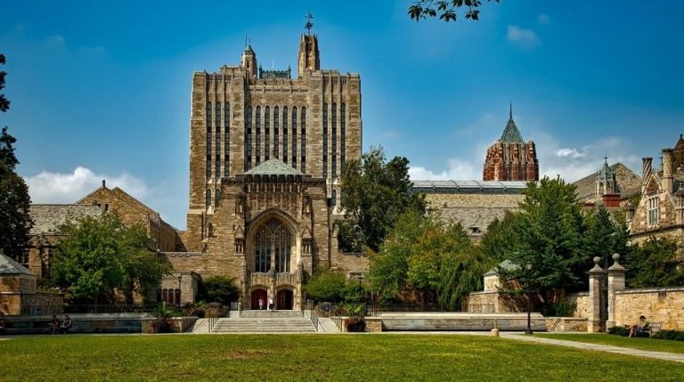 11 Best + Free Ivy League Data Science Courses with Certificates