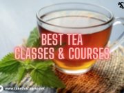 Best Tea Classes & Courses