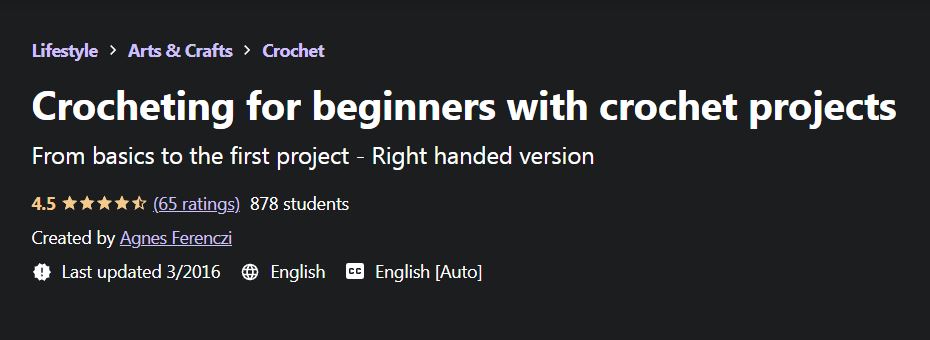 Crocheting for Beginners with Crochet Projects