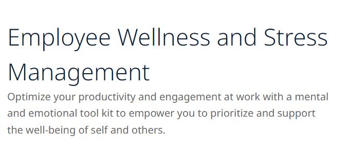 Employee Wellness and Stress Management