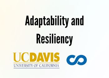 1. Adaptability and Resiliency
