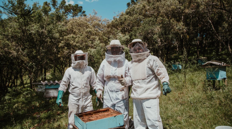 How to Get into Beekeeping?