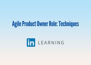 Agile Product Owner Role: Techniques