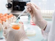 HACCP and Sustainability: How to balance food safety and environmental responsibility food safety