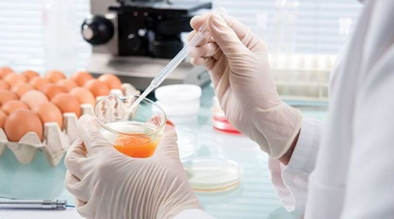 HACCP and Sustainability: How to balance food safety and environmental responsibility