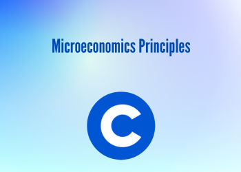 Microeconomics Principles