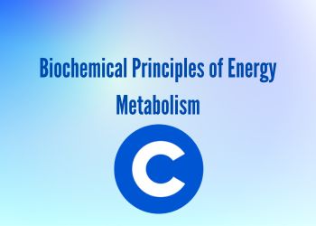 Biochemical Principles of Energy Metabolism