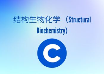 结构生物化学（Structural Biochemistry)