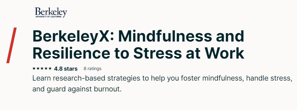 Mindfulness and Resilience to Stress at Work